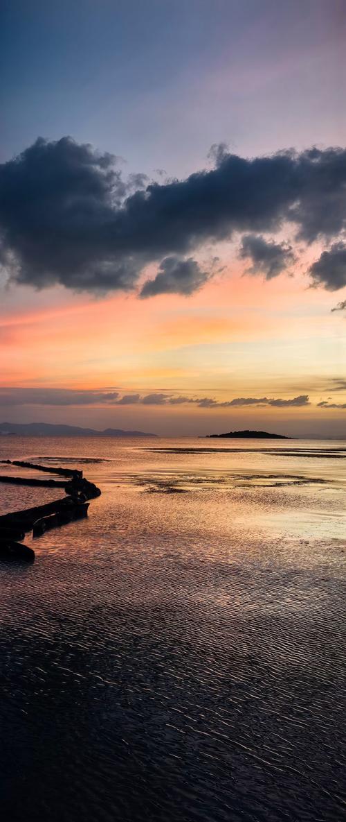 晋江站群推广机构